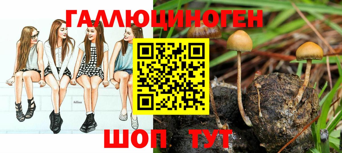 Псилоцибиновые грибы мицелий  Вход с VPN  Торжок 