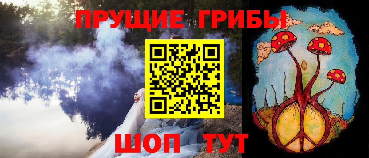 Псилоцибиновые грибы GOLDEN TEACHER Торжок